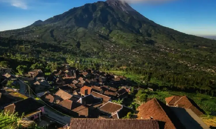 Selo, Sumber: instagram.com