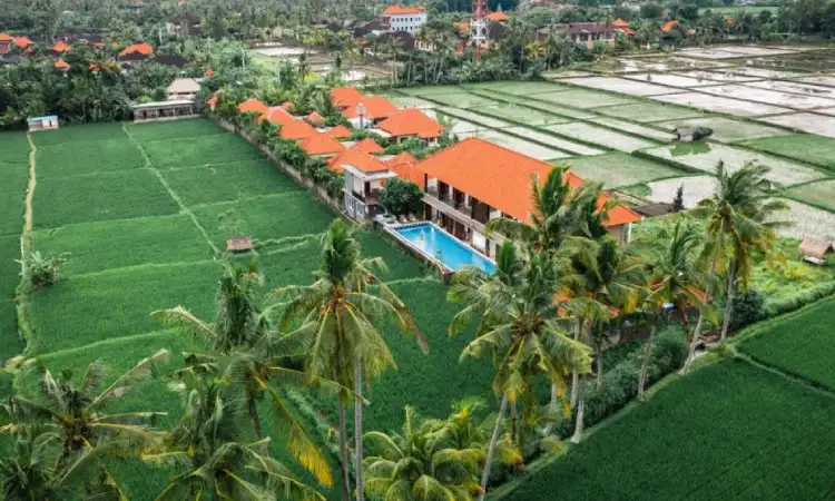 Rekomendasi Tempat Gathering di Jogja, Cocok untuk Acara Kantor!